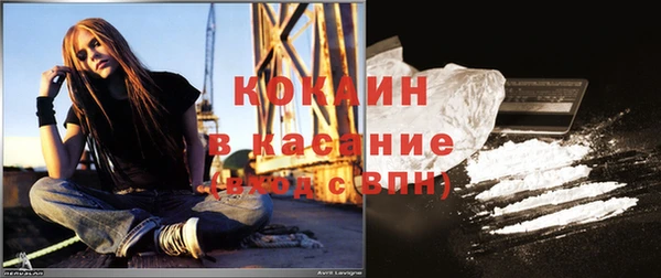 шишки Балабаново